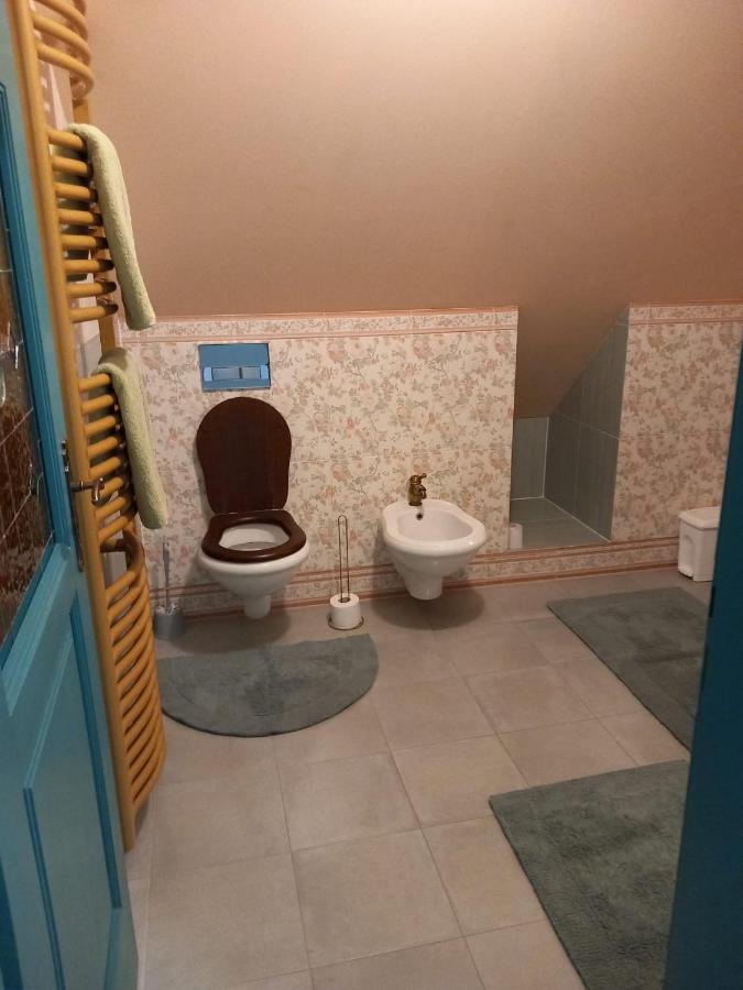 Roof Apartment Ztracena 奥洛穆茨 外观 照片